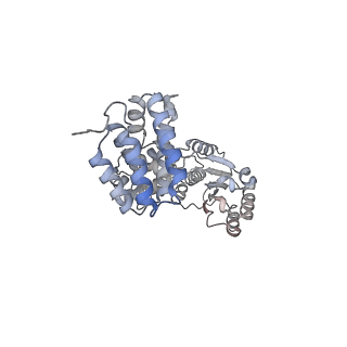 43095_8vam_B_v1-0
Structure of the E. coli clamp loader bound to the beta clamp in a Semi-Open conformation