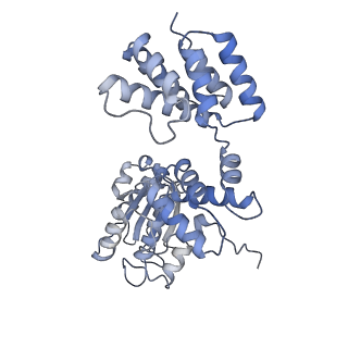 43095_8vam_D_v1-0
Structure of the E. coli clamp loader bound to the beta clamp in a Semi-Open conformation