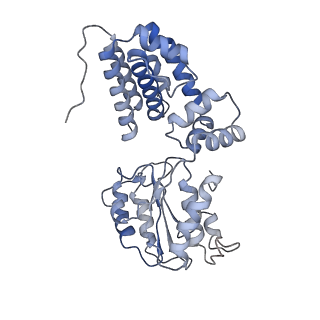 43095_8vam_E_v1-0
Structure of the E. coli clamp loader bound to the beta clamp in a Semi-Open conformation