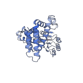 43098_8vap_A_v1-0
Structure of the E. coli clamp loader bound to the beta clamp in a Fully-Open conformation