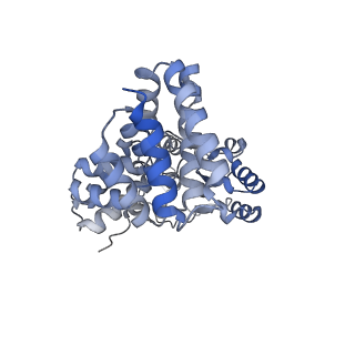 43098_8vap_B_v1-0
Structure of the E. coli clamp loader bound to the beta clamp in a Fully-Open conformation