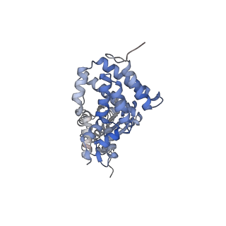 43098_8vap_C_v1-0
Structure of the E. coli clamp loader bound to the beta clamp in a Fully-Open conformation