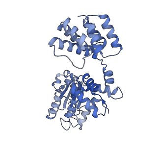 43098_8vap_D_v1-0
Structure of the E. coli clamp loader bound to the beta clamp in a Fully-Open conformation