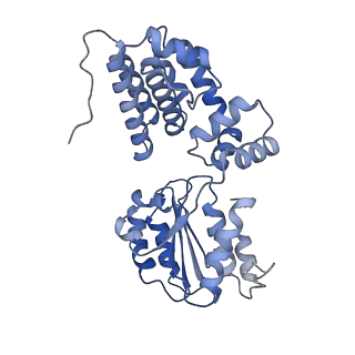 43098_8vap_E_v1-0
Structure of the E. coli clamp loader bound to the beta clamp in a Fully-Open conformation