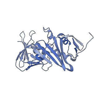 43098_8vap_G_v1-0
Structure of the E. coli clamp loader bound to the beta clamp in a Fully-Open conformation