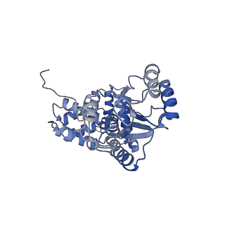 43099_8vaq_B_v1-0
Structure of the E. coli clamp loader bound to the beta clamp in a Closed-DNA1 conformation