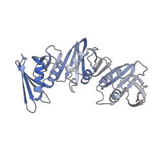 43099_8vaq_G_v1-0
Structure of the E. coli clamp loader bound to the beta clamp in a Closed-DNA1 conformation