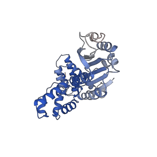 43100_8var_A_v1-0
Structure of the E. coli clamp loader bound to the beta clamp in a Closed-DNA2 conformation