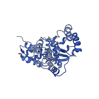 43100_8var_B_v1-0
Structure of the E. coli clamp loader bound to the beta clamp in a Closed-DNA2 conformation