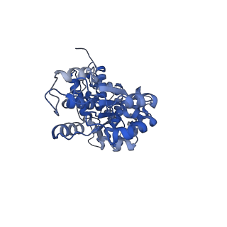 43100_8var_C_v1-0
Structure of the E. coli clamp loader bound to the beta clamp in a Closed-DNA2 conformation