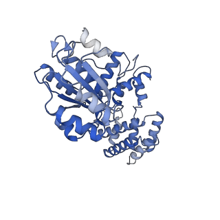 43100_8var_D_v1-0
Structure of the E. coli clamp loader bound to the beta clamp in a Closed-DNA2 conformation