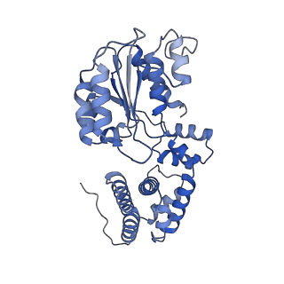 43100_8var_E_v1-0
Structure of the E. coli clamp loader bound to the beta clamp in a Closed-DNA2 conformation