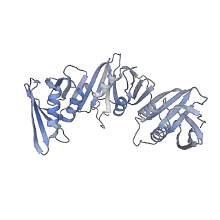 43100_8var_G_v1-0
Structure of the E. coli clamp loader bound to the beta clamp in a Closed-DNA2 conformation