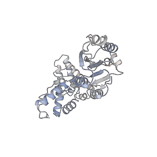 43101_8vas_A_v1-0
Structure of the E. coli clamp loader bound to the beta clamp in an Altered-Collar conformation