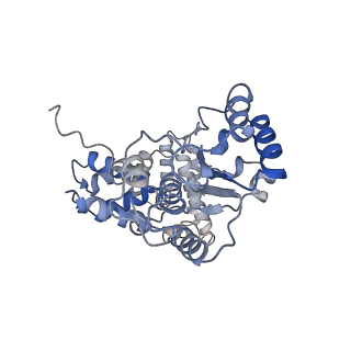 43101_8vas_B_v1-0
Structure of the E. coli clamp loader bound to the beta clamp in an Altered-Collar conformation