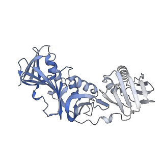 43101_8vas_F_v1-0
Structure of the E. coli clamp loader bound to the beta clamp in an Altered-Collar conformation