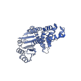 43102_8vat_A_v1-0
Structure of the E. coli clamp loader bound to the beta clamp in a Open-RNAp/t conformation