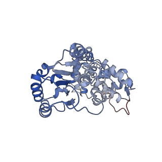 43102_8vat_B_v1-0
Structure of the E. coli clamp loader bound to the beta clamp in a Open-RNAp/t conformation