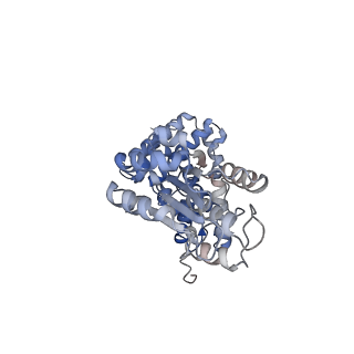 43102_8vat_C_v1-0
Structure of the E. coli clamp loader bound to the beta clamp in a Open-RNAp/t conformation