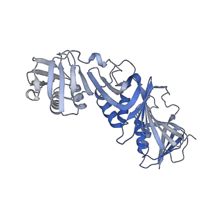 43102_8vat_F_v1-0
Structure of the E. coli clamp loader bound to the beta clamp in a Open-RNAp/t conformation