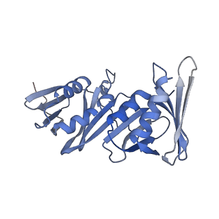 43102_8vat_G_v1-0
Structure of the E. coli clamp loader bound to the beta clamp in a Open-RNAp/t conformation