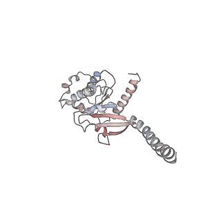 8653_5vai_A_v1-4
Cryo-EM structure of the activated Glucagon-like peptide-1 receptor in complex with G protein