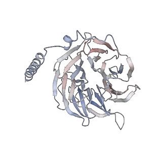 8653_5vai_B_v1-4
Cryo-EM structure of the activated Glucagon-like peptide-1 receptor in complex with G protein