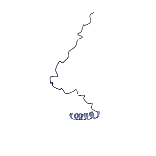 21144_6vbu_0_v1-1
Structure of the bovine BBSome complex