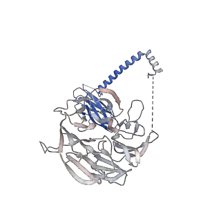 21144_6vbu_1_v1-1
Structure of the bovine BBSome complex