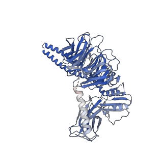 21144_6vbu_2_v1-1
Structure of the bovine BBSome complex