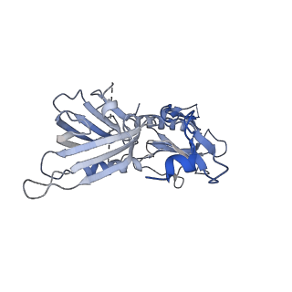 21144_6vbu_5_v1-1
Structure of the bovine BBSome complex