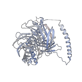 21144_6vbu_7_v1-1
Structure of the bovine BBSome complex