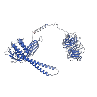 21144_6vbu_9_v1-1
Structure of the bovine BBSome complex