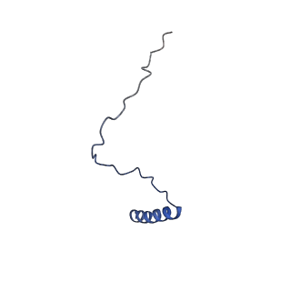 21145_6vbv_0_v1-1
Structure of the bovine BBSome:ARL6:GTP complex