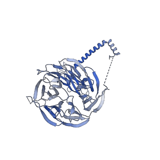 21145_6vbv_1_v1-1
Structure of the bovine BBSome:ARL6:GTP complex