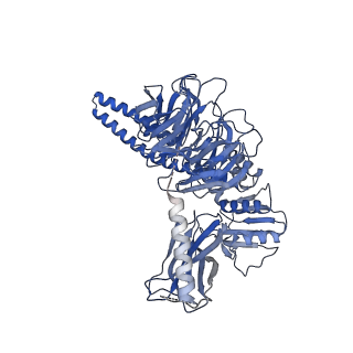 21145_6vbv_2_v1-0
Structure of the bovine BBSome:ARL6:GTP complex