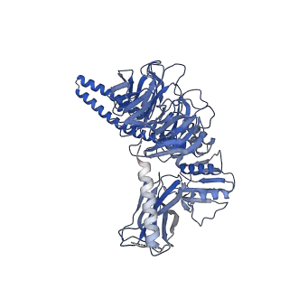 21145_6vbv_2_v1-1
Structure of the bovine BBSome:ARL6:GTP complex