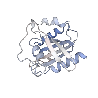 21145_6vbv_3_v1-1
Structure of the bovine BBSome:ARL6:GTP complex