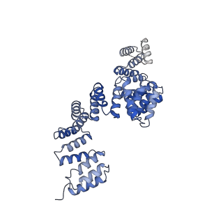 21145_6vbv_4_v1-1
Structure of the bovine BBSome:ARL6:GTP complex