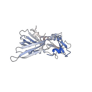 21145_6vbv_5_v1-0
Structure of the bovine BBSome:ARL6:GTP complex