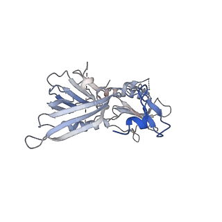 21145_6vbv_5_v1-1
Structure of the bovine BBSome:ARL6:GTP complex