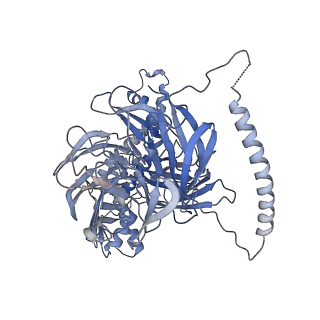 21145_6vbv_7_v1-1
Structure of the bovine BBSome:ARL6:GTP complex