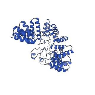 21145_6vbv_8_v1-0
Structure of the bovine BBSome:ARL6:GTP complex