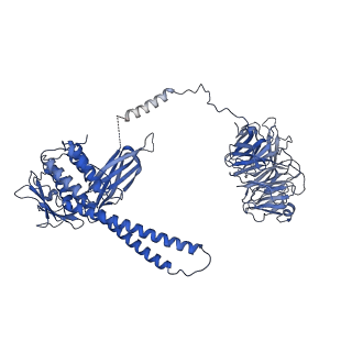 21145_6vbv_9_v1-1
Structure of the bovine BBSome:ARL6:GTP complex