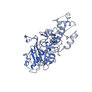 21146_6vbw_A_v1-1
Cryo-EM structure of Cascade-TniQ-dsDNA ternary complex