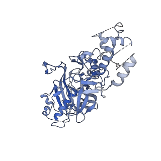 21146_6vbw_A_v1-2
Cryo-EM structure of Cascade-TniQ-dsDNA ternary complex