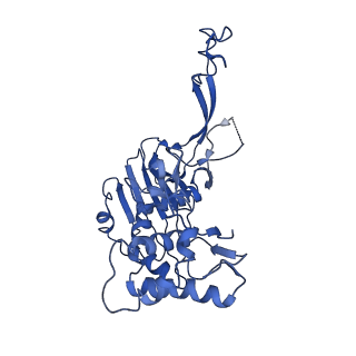 21146_6vbw_B_v1-1
Cryo-EM structure of Cascade-TniQ-dsDNA ternary complex