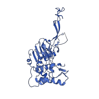 21146_6vbw_B_v1-2
Cryo-EM structure of Cascade-TniQ-dsDNA ternary complex