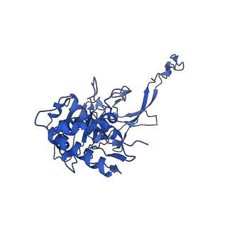 21146_6vbw_C_v1-1
Cryo-EM structure of Cascade-TniQ-dsDNA ternary complex