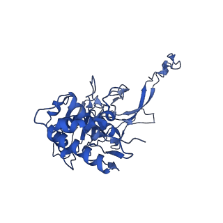 21146_6vbw_C_v1-2
Cryo-EM structure of Cascade-TniQ-dsDNA ternary complex